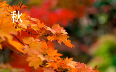 産山村写真館　秋
