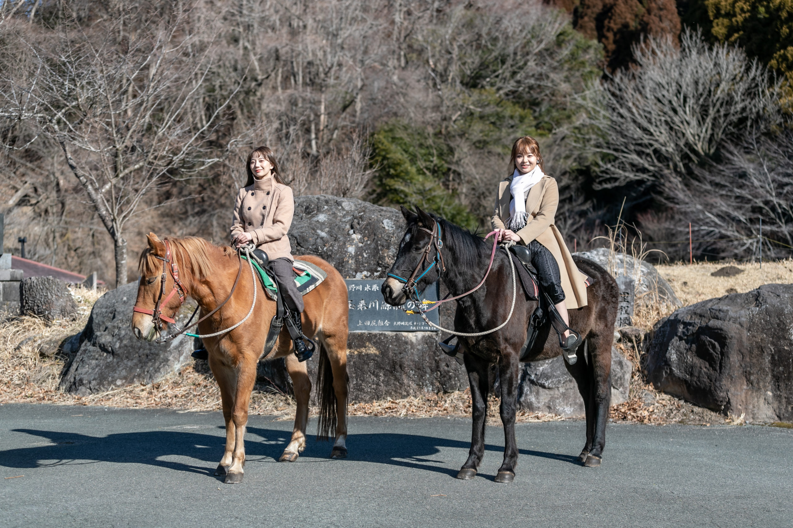 王依君(オウ・イクン/サンディ)がナビゲート