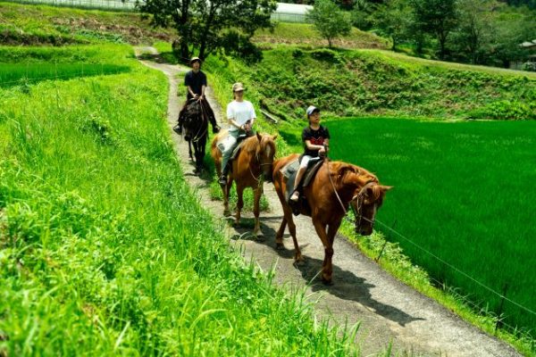 うぶやま　馬遊び・陽なたぼっこ