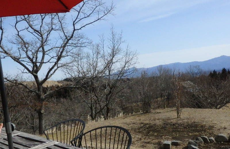 マチットフィーカ(MatittoFika)